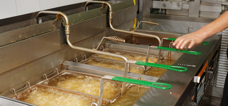Blomberg Commercial Fryer Repair in Grimsby