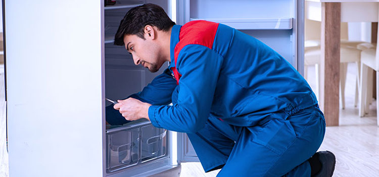 Blomberg Freezer Repair Services in Grimsby